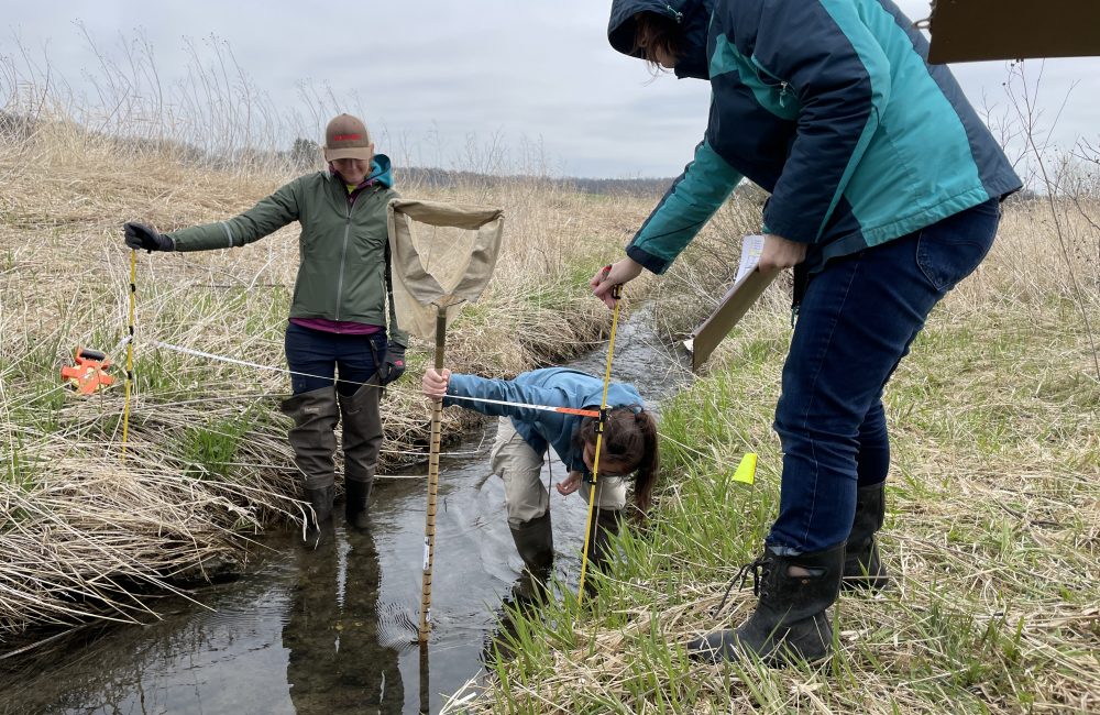 Volunteers measure s the depth of a small stream
