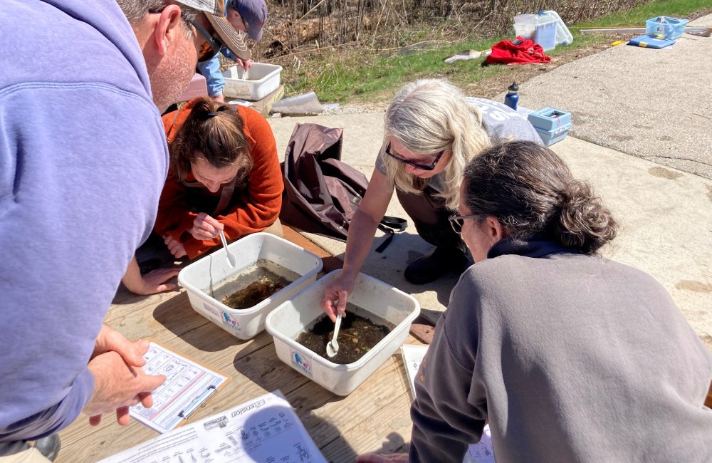 Volunteers search for macroinvertebrates in white basins