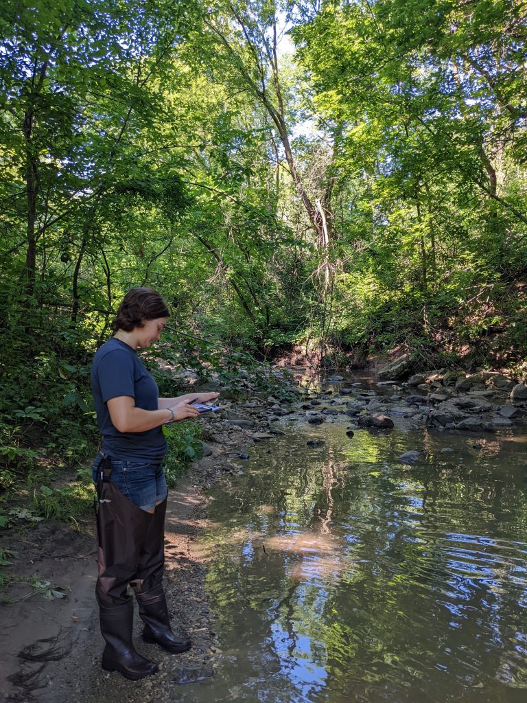 A volunteer wearing hip boots stands next to a wooded stream holding a clipboard.