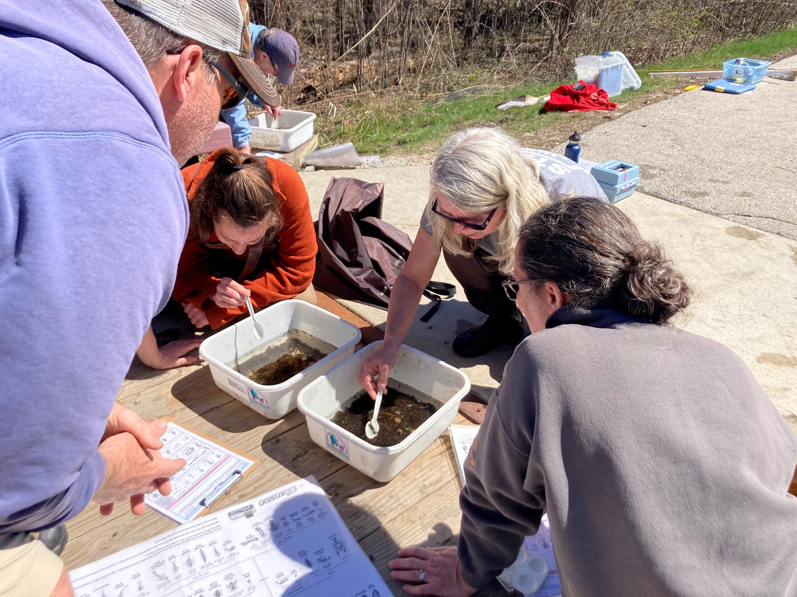 Volunteers search for macroinvertebrates in white basins