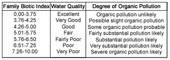 HBI Index Chart.