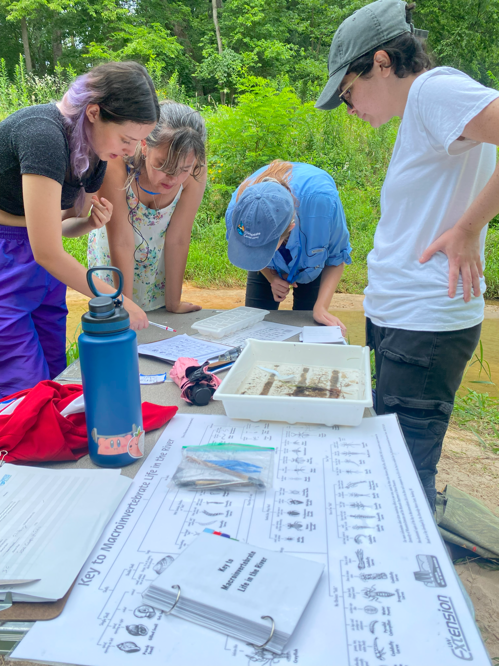 A group of people are gathered around a table and are learning how to identify stream macroinvertebrates for a biotic index.