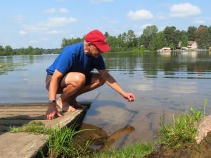 Volunteer looking for aquatic invasive species