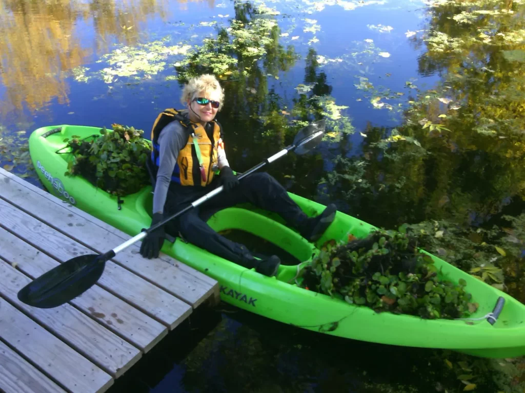 A volunteer sits on her kayak with water hyacinth, an aquatic invasive species, she pulled and removed from a Wisconsin waterway. 