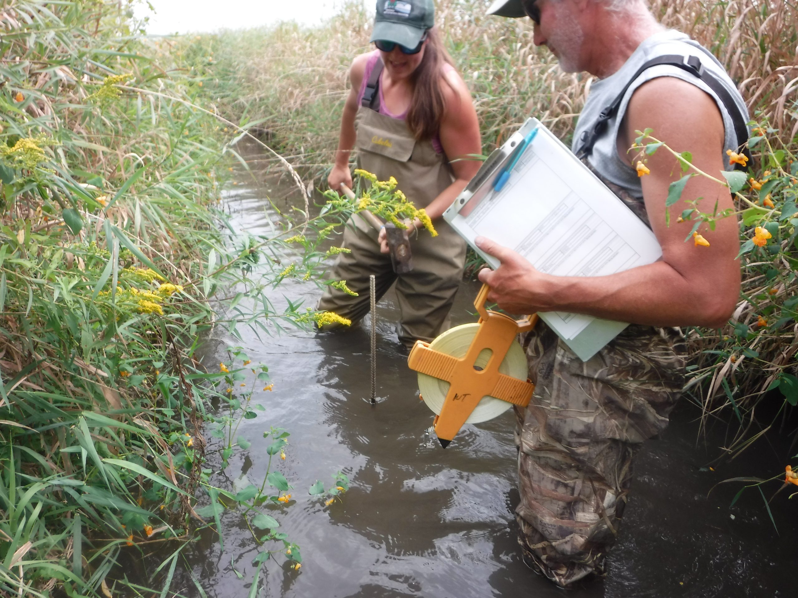 Two volunteers looking at an installed thermistor in a stream. 