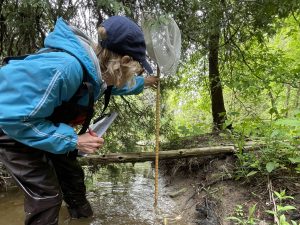 A volunteer in a blue jacket and waders stands in a stream. The volunteer is holding up a measuring stick. 