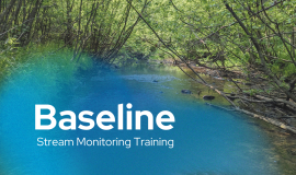 A photo of a wooded stream, with the words "Baseline Stream Monitoring Training" overlaid on the photo.