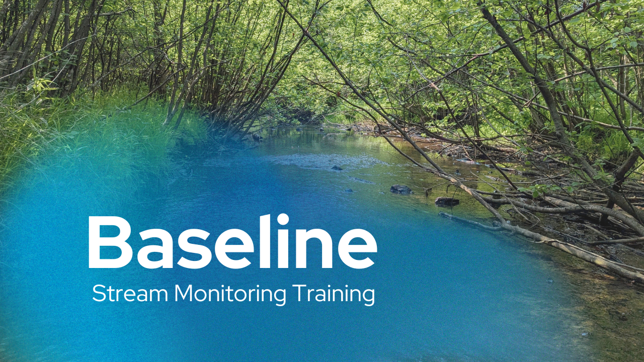 A photo of a wooded stream, with the words "Baseline Stream Monitoring Training" overlaid on the photo.
